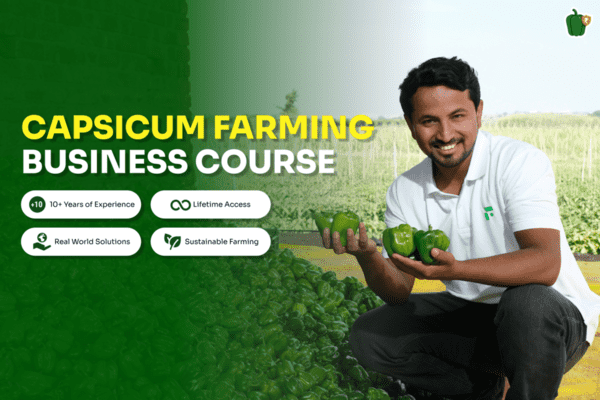 Capsicum Farming Business Course