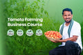 Tomato Farming Business Course