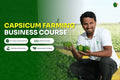 Capsicum Farming Business Course